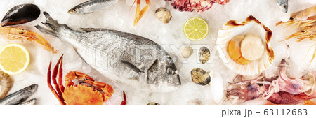 Fish and seafood panorama on white. Sea bream, clams, scallops, etc, shot from the top on ice Fish and seafood panorama on white. Sea bream, clams, scallops, etc, shot from the top on ice 63112683