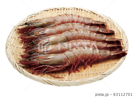 シータイガー02 パス付 の写真素材