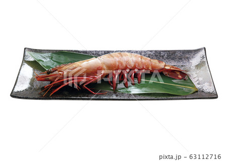 シータイガー09(パス付) シータイガー09(パス付) 63112716