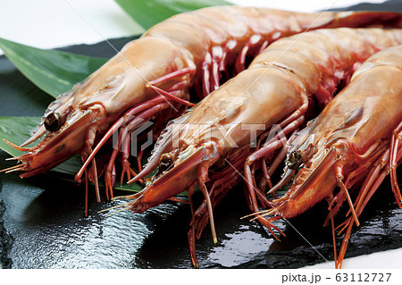 シータイガー15 シータイガー15 63112727