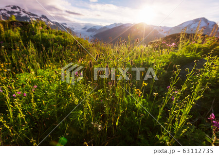 Mountains meadow Mountains meadow 63112735