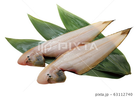 剥きシタビラメ07(パス付) 剥きシタビラメ07(パス付) 63112740