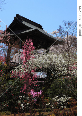 花の寺塩山放光寺 63112991