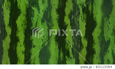 背景-スイカの皮-夏 63113564