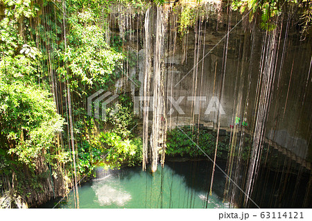 Ik-Kil cenote, Yucatan, Mexico 63114121