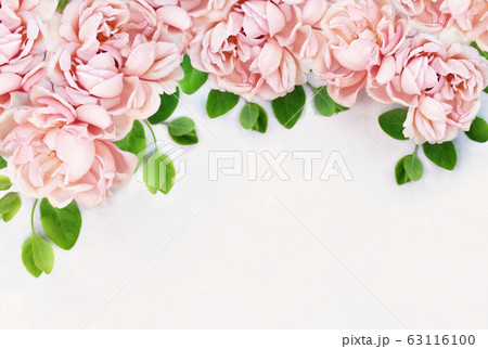 Delicate blossoming roses and blooming flowers festive background, pastel and soft bouquet floral frame card, toned 63116100