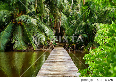 Beautiful lake at Seychelles Beautiful lake at Seychelles 63116326