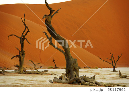 ナミブ砂漠 63117962