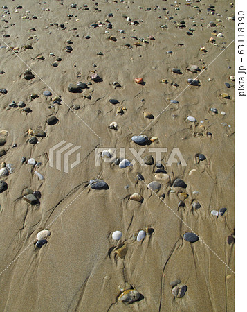 Different sea pebbles on the wet sand on the beach Different sea pebbles on the wet sand on the beach 63118390