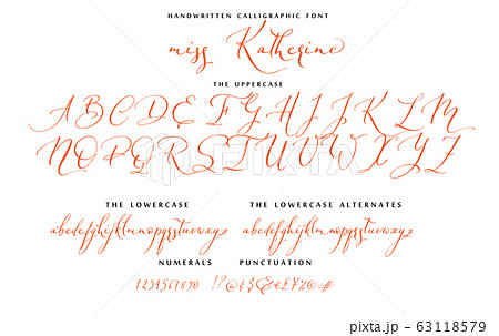 Hand drawn callygraphic font vector alphabet set 63118579