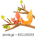 Curious couple origami cartoon squirrels on a branch on a white 63119203