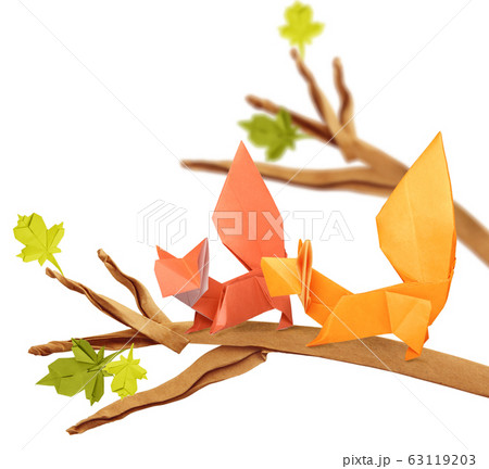 Curious couple origami cartoon squirrels on a branch on a white 63119203