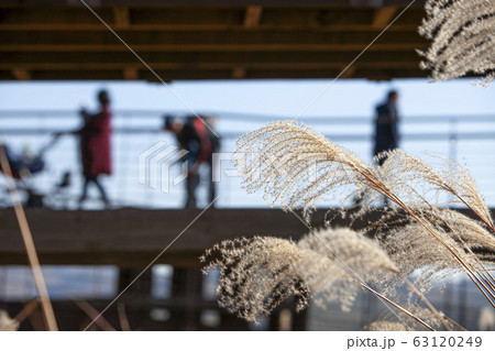 写真 秋 風景 63120249
