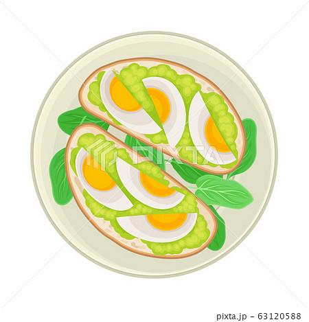 Sandwiches with Avocado and Boiled Egg Served on Plate with Greenery Vector Illustration Sandwiches with Avocado and Boiled Egg Served on Plate with Greenery Vector Illustration 63120588