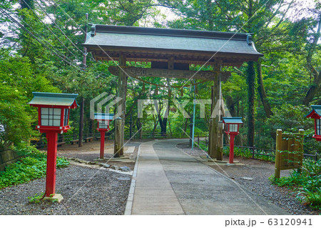 東京八王子市の初夏の高尾山薬王院浄心門(薬王院側から見る) 63120941