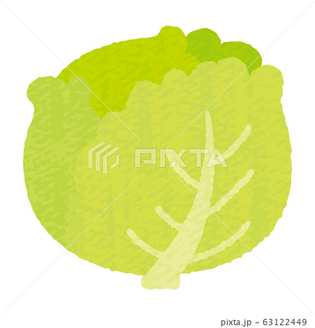 手描き風かわいいレタスのイラスト素材