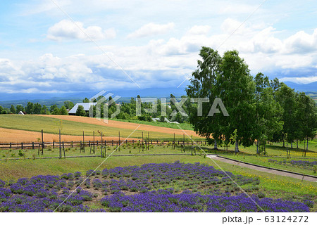 北西の丘展望公園からの眺望(北海道 美瑛町) 63124272
