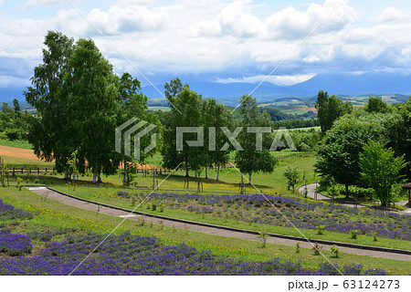 北西の丘展望公園からの眺望(北海道 美瑛町) 63124273
