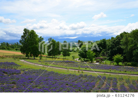 北西の丘展望公園からの眺望(北海道 美瑛町) 63124276