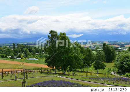 北西の丘展望公園(北海道 美瑛町) 北西の丘展望公園(北海道 美瑛町) 63124279