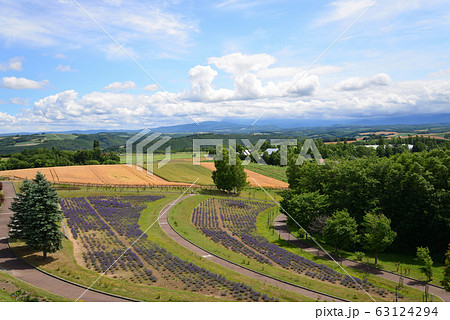 北西の丘展望公園からの眺望(北海道 美瑛町) 63124294
