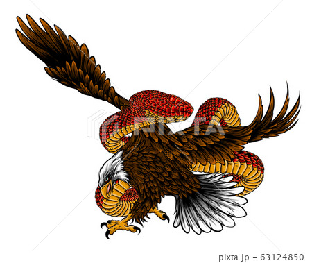 Illustration Of Eagle Fight With Snake Vectorのイラスト素材