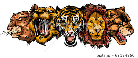 Wild Animals Heads Set. Lion, Tiger, Jaguar,のイラスト