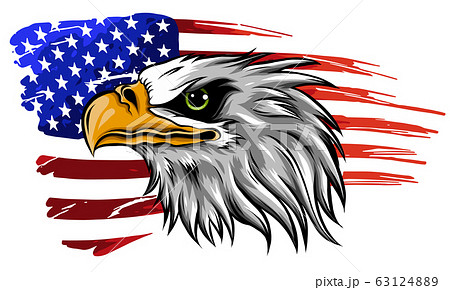 American Bald Eagle Illustration Vector Against のイラスト素材
