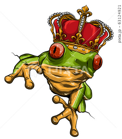 vector Illustration of green frog on white 63124921