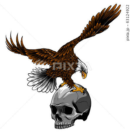 Eagle and Skull vector illustration design art 63124922