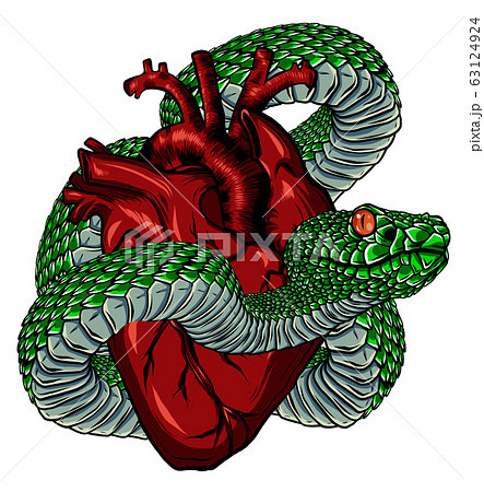 Snake And Heart Tattoo Symbol Of Love Envy Stock Illustration