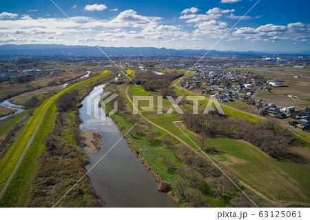 入間川・小畔川・越辺川の堤に咲く満開の菜の花　埼玉県川越市　（ドローンによる空撮） 63125061