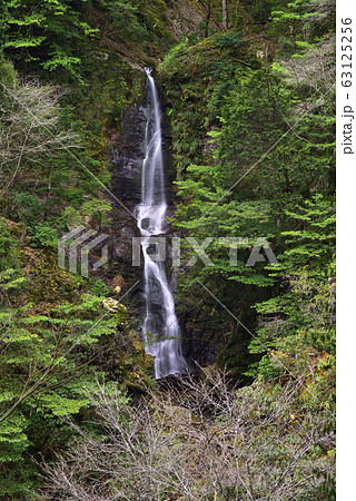 聖ケ谷 一の滝(京都府南丹市美山町) 聖ケ谷 一の滝(京都府南丹市美山町) 63125256