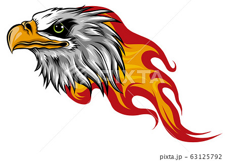 Eagle Head with Flames vector illustration design 63125792