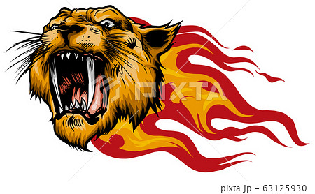 Head Of A Tiger In Tongues Of Flameのイラスト素材