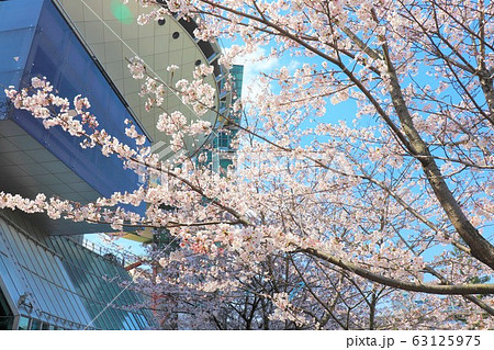 大阪府立大型児童館ビッグバン・春の風景 63125975