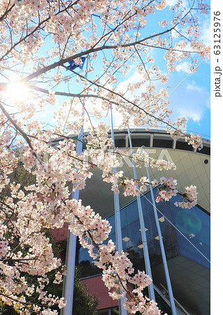 大阪府立大型児童館ビッグバン・春の風景 大阪府立大型児童館ビッグバン・春の風景 63125976