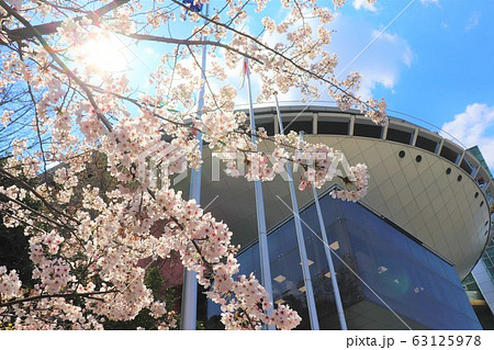 大阪府立大型児童館ビッグバン・春の風景 大阪府立大型児童館ビッグバン・春の風景 63125978