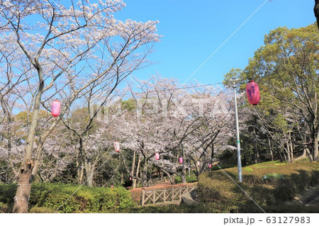 栂・美木多 桃山台桜まつり 栂・美木多 桃山台桜まつり 63127983