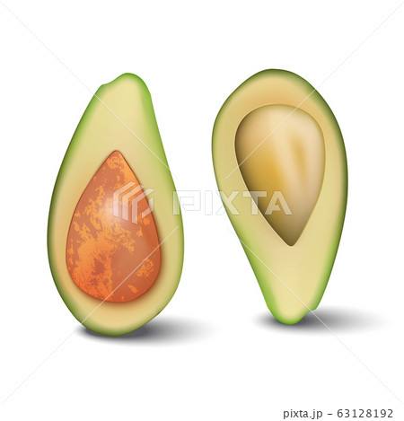 two halves of fresh avocado two halves of fresh avocado 63128192