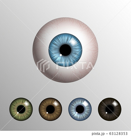 Vector realistic 3d human eyeball with natural Vector realistic 3d human eyeball with natural 63128353