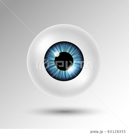 Vector 3d human eyeball with blue iris and shadow Vector 3d human eyeball with blue iris and shadow 63128355