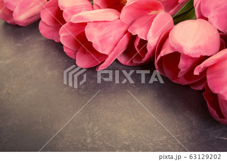Pink tulips on a dark gray grunge background. 63129202