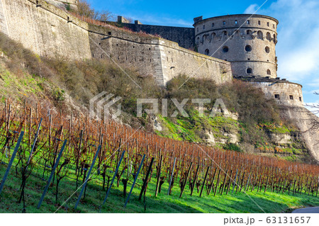 Wurzburg. Vineyards on the walls. Wurzburg. Vineyards on the walls. 63131657