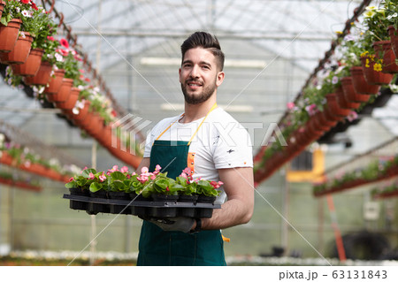 man working in a plant nursery man working in a plant nursery 63131843