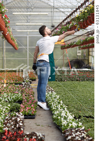 man working in a plant nursery man working in a plant nursery 63131845