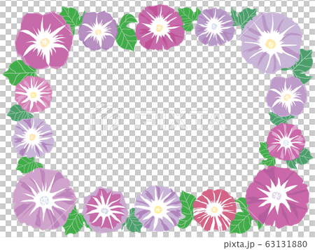 Summer purple morning glory frame illustration Summer purple morning glory frame illustration 63131880