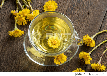 A cup of coltsfoot tea with fresh coltsfoot 63132887