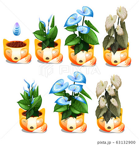 Set of stages of life of a flowering plant isolated on white background. Vector cartoon close-up illustration. Set of stages of life of a flowering plant isolated on white background. Vector cartoon close-up illustration. 63132900