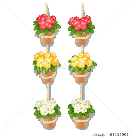 Set of flower pots hanging on the rope isolated on a white background. Vector cartoon close-up illustration. Set of flower pots hanging on the rope isolated on a white background. Vector cartoon close-up illustration. 63132901